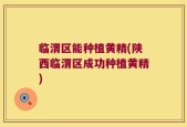 临渭区能种植黄精(陕西临渭区成功种植黄精)