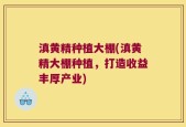 滇黄精种植大棚(滇黄精大棚种植，打造收益丰厚产业)