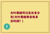 大叶黄精可以生长多少年(大叶黄精寿命有多长时间？)