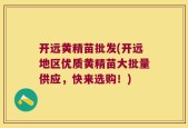 开远黄精苗批发(开远地区优质黄精苗大批量供应，快来选购！)
