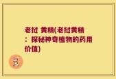 老挝 黄精(老挝黄精：探秘神奇植物的药用价值)