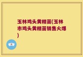 玉林鸡头黄精苗(玉林市鸡头黄精苗销售火爆)