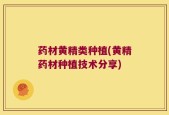 药材黄精类种植(黄精药材种植技术分享)