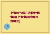 上海的气候几月份种植黄精(上海黄精种植月份概述)