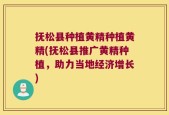 抚松县种植黄精种植黄精(抚松县推广黄精种植，助力当地经济增长)