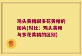 鸡头黄精跟多花黄精的图片(对比：鸡头黄精与多花黄精的区别)