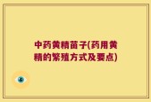 中药黄精苗子(药用黄精的繁殖方式及要点)