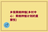 乡镇黄精种植(乡村中心：黄精种植计划的重要性)