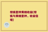 柑橘套种黄精收益(柑橘与黄精套种，收益倍增)