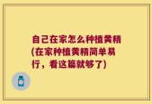自己在家怎么种植黄精(在家种植黄精简单易行，看这篇就够了)