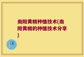 南阳黄精种植技术(南阳黄精的种植技术分享)