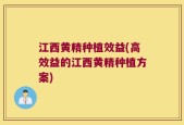 江西黄精种植效益(高效益的江西黄精种植方案)