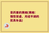 膏药里的黄精(黄精：慢性肾虚、月经不调的优良补品)