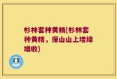 杉林套种黄精(杉林套种黄精，保山山上增绿增收)