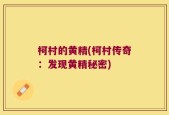 柯村的黄精(柯村传奇：发现黄精秘密)