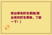 邢台哪有野生黄精(邢台现存野生黄精，了解一下！)