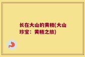 长在大山的黄精(大山珍宝：黄精之旅)