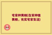 宅家种黄精(在家种植黄精，充实宅家生活)
