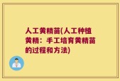 人工黄精苗(人工种植黄精：手工培育黄精苗的过程和方法)