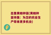 出售黄精种苗(黄精种苗待售：为您的农业生产带来更多机会)
