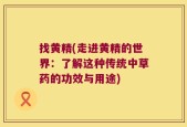 找黄精(走进黄精的世界：了解这种传统中草药的功效与用途)