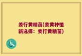 姜行黄精苗(姜黄种植新选择：姜行黄精苗)