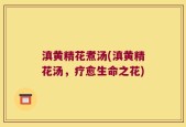 滇黄精花煮汤(滇黄精花汤，疗愈生命之花)