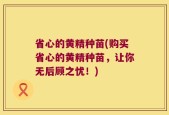 省心的黄精种苗(购买省心的黄精种苗，让你无后顾之忧！)