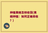 种植黄精怎样收获(黄精种植：如何正确采收？)