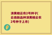 滇黄精云农2号种子(云南新品种滇黄精云农2号种子上市)