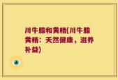 川牛膝和黄精(川牛膝黄精：天然健康，滋养补益)
