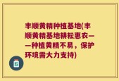 丰顺黄精种植基地(丰顺黄精基地耕耘惠农——种植黄精不易，保护环境需大力支持)