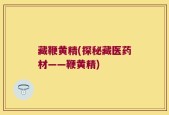 藏鞭黄精(探秘藏医药材——鞭黄精)