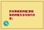 药材黄精茶种植(黄精茶的种植方法与技巧分享)