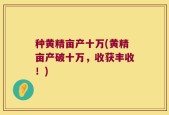 种黄精亩产十万(黄精亩产破十万，收获丰收！)