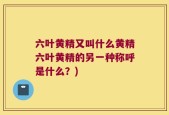 六叶黄精又叫什么黄精六叶黄精的另一种称呼是什么？)