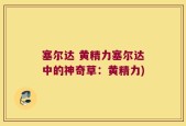 塞尔达 黄精力塞尔达中的神奇草：黄精力)
