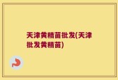 天津黄精苗批发(天津批发黄精苗)