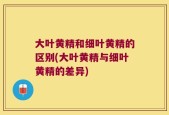 大叶黄精和细叶黄精的区别(大叶黄精与细叶黄精的差异)