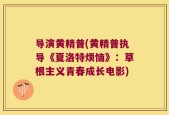 导演黄精普(黄精普执导《夏洛特烦恼》：草根主义青春成长电影)
