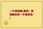 一斤黄精图(重磅！黄精图出现一斤重拍卖！)