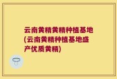 云南黄精黄精种植基地(云南黄精种植基地盛产优质黄精)