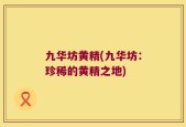 九华坊黄精(九华坊：珍稀的黄精之地)