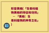 形容黄精(「生姜科植物黄精的特征和功效」  -- 「黄精：生姜科植物的神奇之处」)
