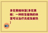多花黄精块茎(多花黄精：一种附生植物的块茎可以治疗炎症及解热)