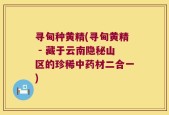 寻甸种黄精(寻甸黄精 - 藏于云南隐秘山区的珍稀中药材二合一)