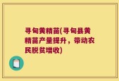 寻甸黄精苗(寻甸县黄精苗产量提升，带动农民脱贫增收)
