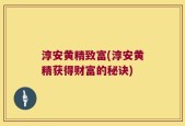 淳安黄精致富(淳安黄精获得财富的秘诀)