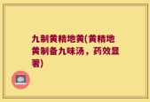 九制黄精地黄(黄精地黄制备九味汤，药效显著)