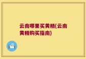 云南哪里买黄精(云南黄精购买指南)